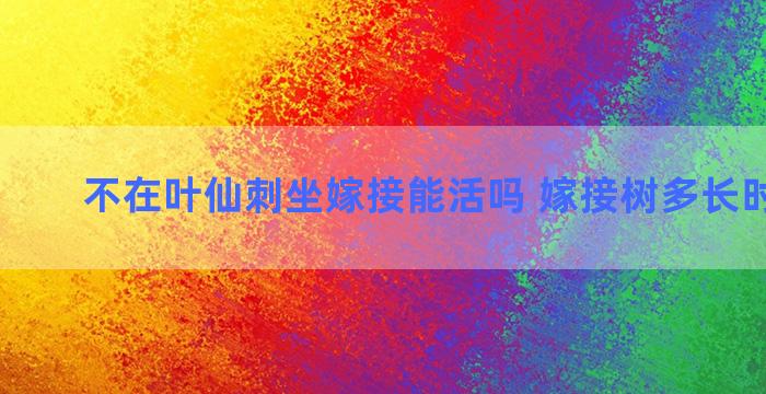 不在叶仙刺坐嫁接能活吗 嫁接树多长时间成活